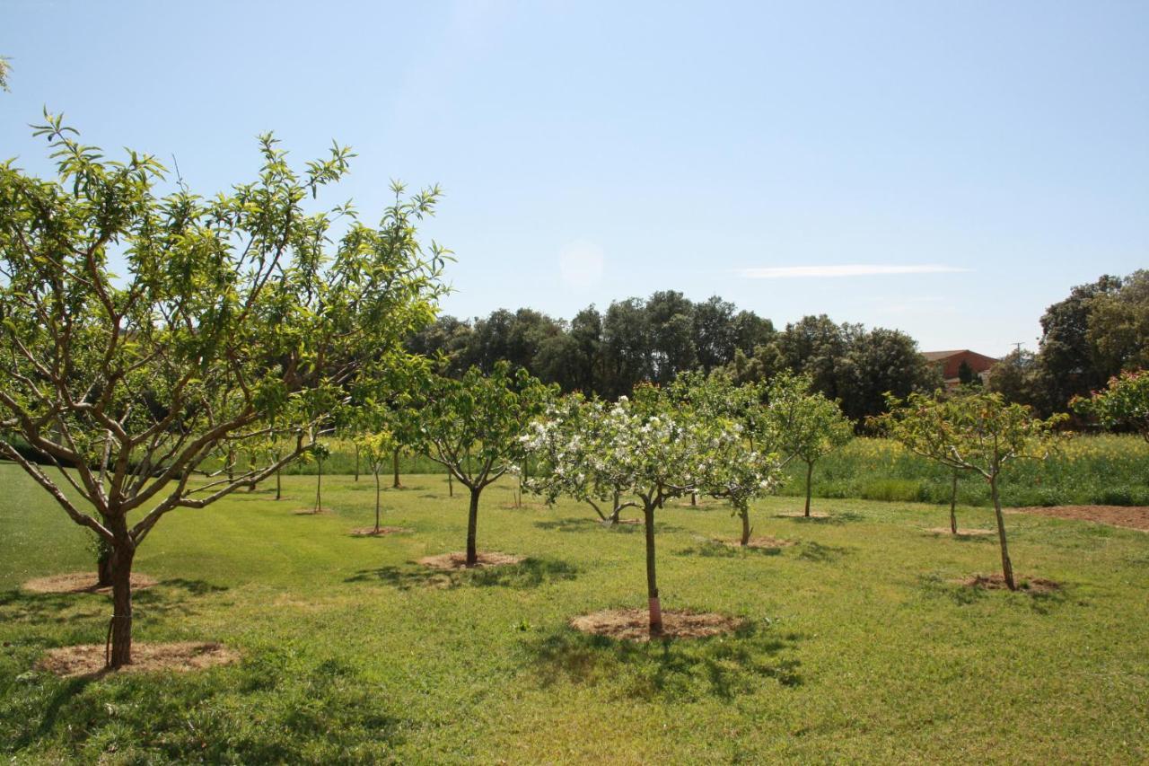 Masia Rural Can Poch Pals Buitenkant foto