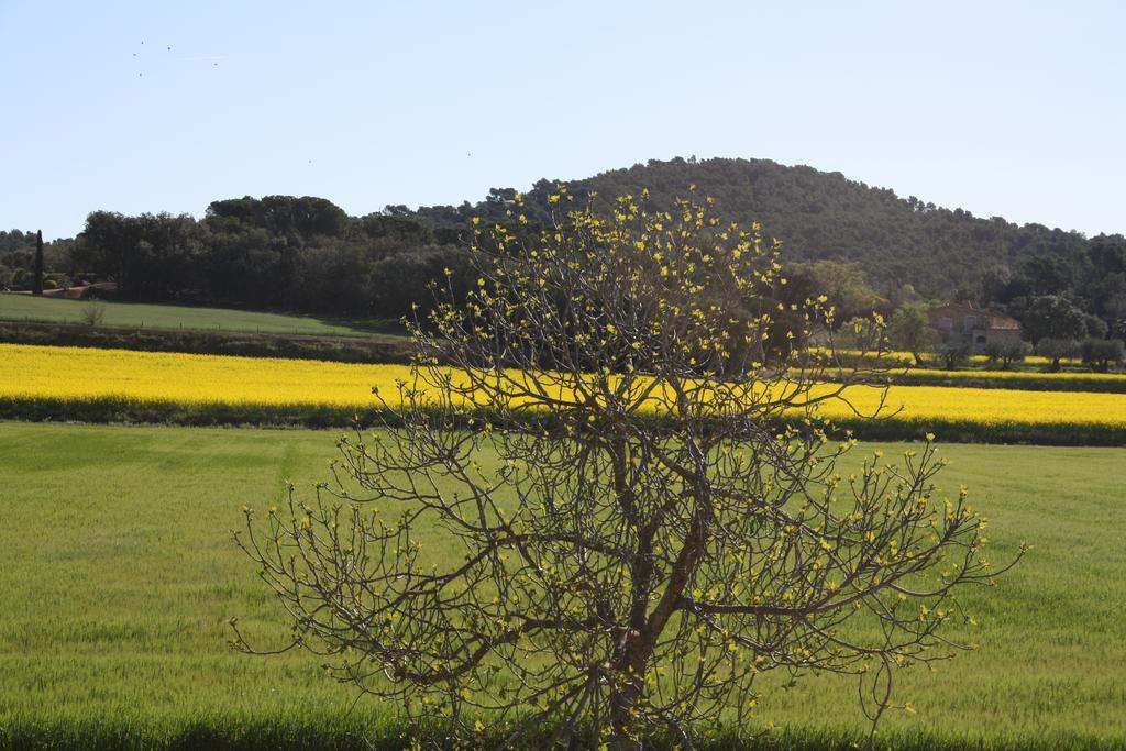 Masia Rural Can Poch Pals Buitenkant foto